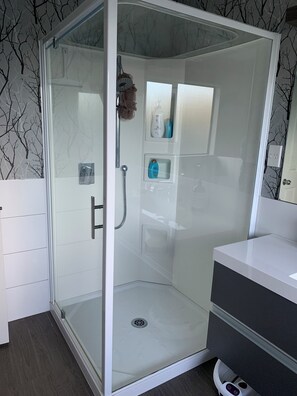 Hair dryer, towels, soap, shampoo