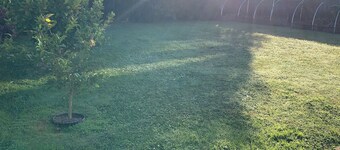 Business or fun come relax. A quiet neighbourhood with lovely walking tracks. 