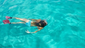 A person swimming in clear blue water. - Private Beachfront Retreat in Haleiwa (Haleiwa)