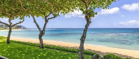 Plage à proximité, chaise longue, serviettes de plage