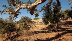 Exterior - Herdade da Maceira  (Odemira)