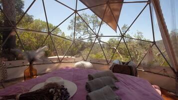 Classic Cabin, Mountain View | 1 bedroom, laptop workspace, free WiFi