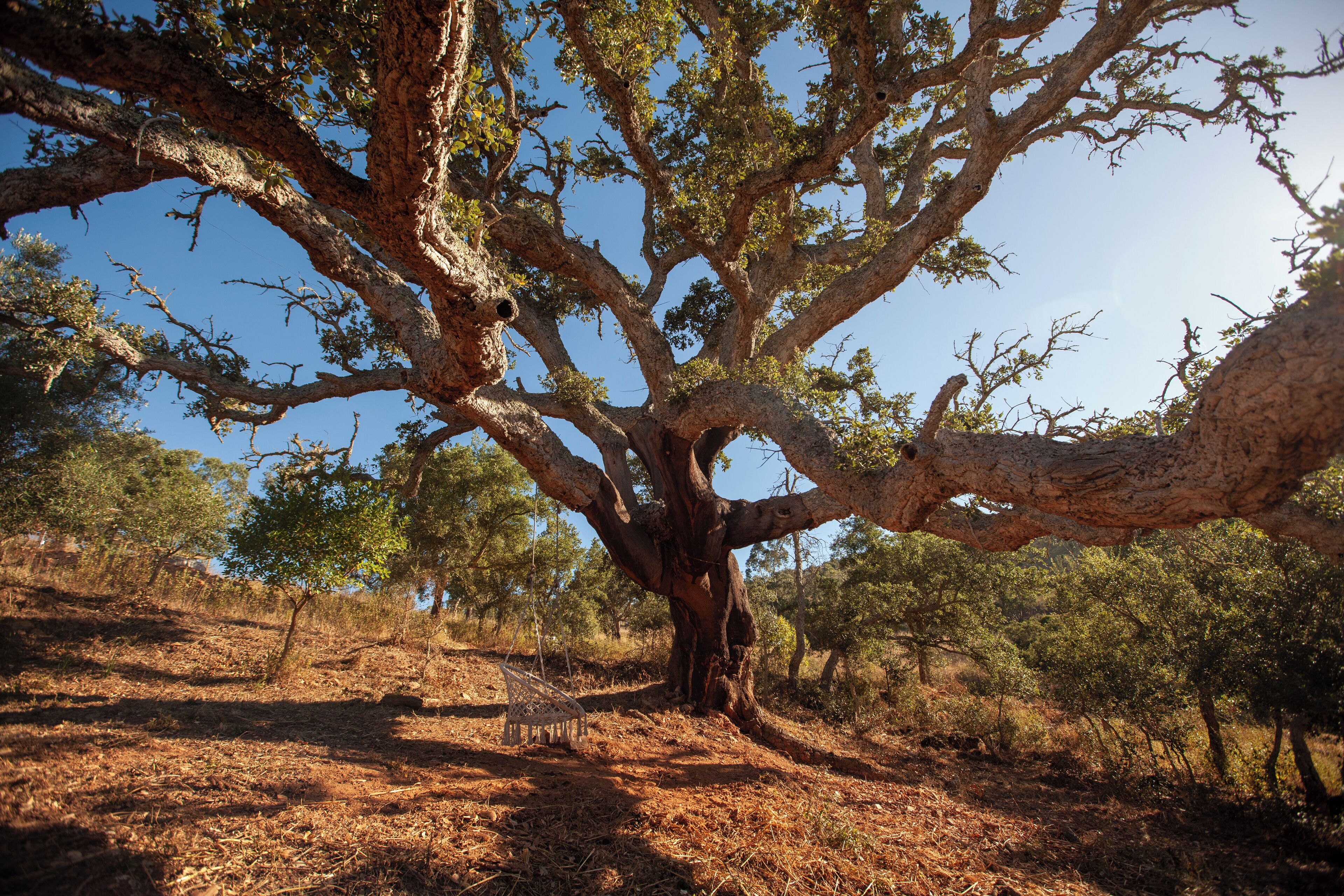 Exterieur