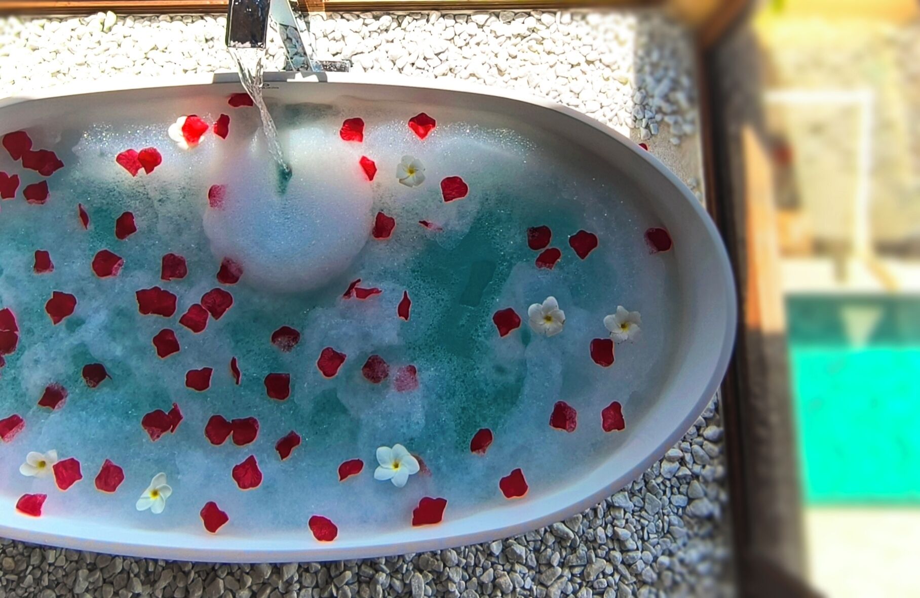 A birdbath with water and red and white flowers.