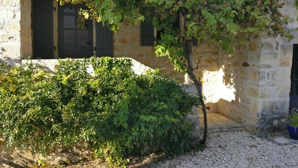 Un edificio de piedra con techo de tejas, una pared cubierta de hiedra y suelo de grava.