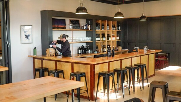 A bar area with a long counter, stools, and a dog.