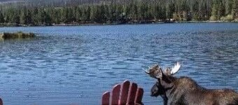 Lake View Cabin-HCRL