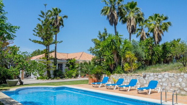 A swimming pool with blue tiles, surrounded by palm trees and a stone wall.