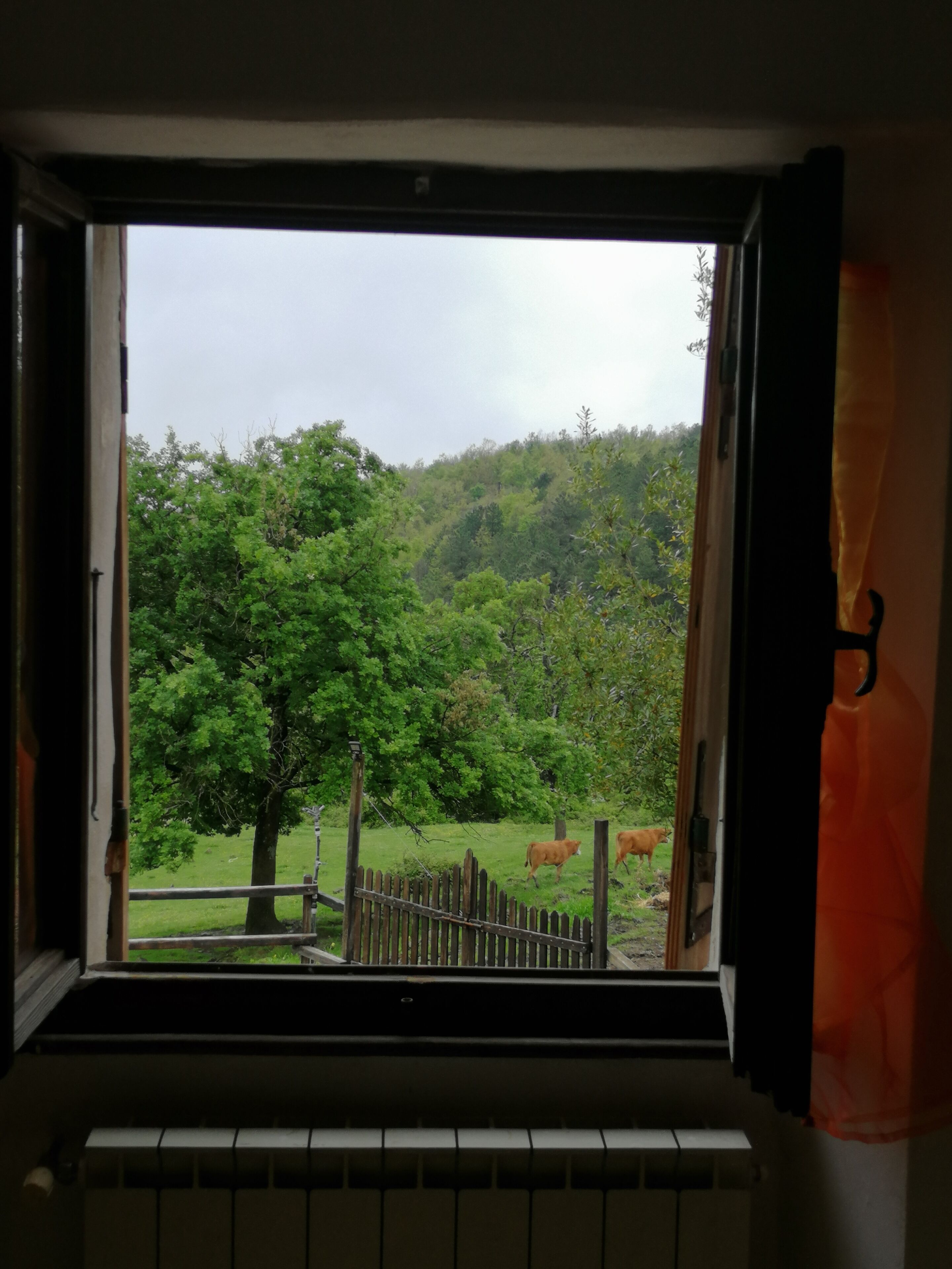 Ein Fenster mit Blick auf eine grüne Landschaft, darunter Bäume und ein Zaun.