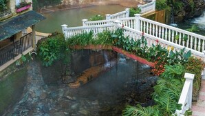 A natural hot spring with a waterfall, surrounded by lush greenery and a white bridge. - Termales Santa Rosa de Cabal - Hotel  (Santa Rosa de Cabal)