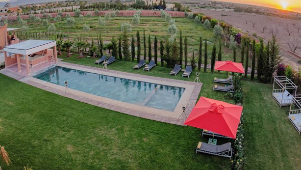A swimming pool with lounge chairs and umbrellas, surrounded by a well-maintained lawn and trees. - La Terra Rosa (Ghmate)