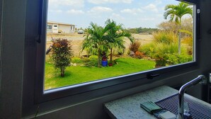 A window with a view of a grassy area, palm trees, and a building in the distance.