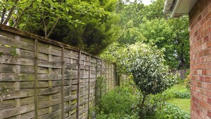 A wooden fence with climbing plants, a small tree, and lush greenery in a garden setting. - 3 bedroom accommodation in Corton, near Lowestoft (Corton, near Lowestoft)