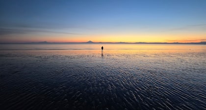 Kenai Beachfront Cabin 4 - 10min to Kenai and Kasilof rivers