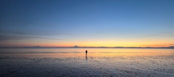 Kenai Beachfront Cabin 4 - 10min to Kenai and Kasilof rivers