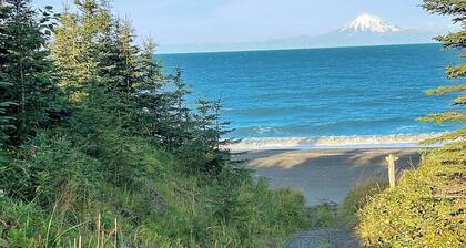 Kenai Beachfront Cabin 4 - 10min to Kenai and Kasilof rivers