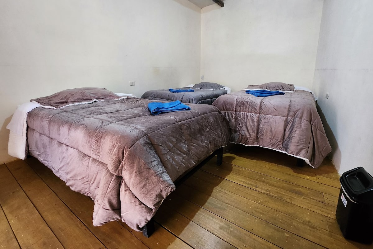 A room with three beds, each with a pink duvet and blue towels.