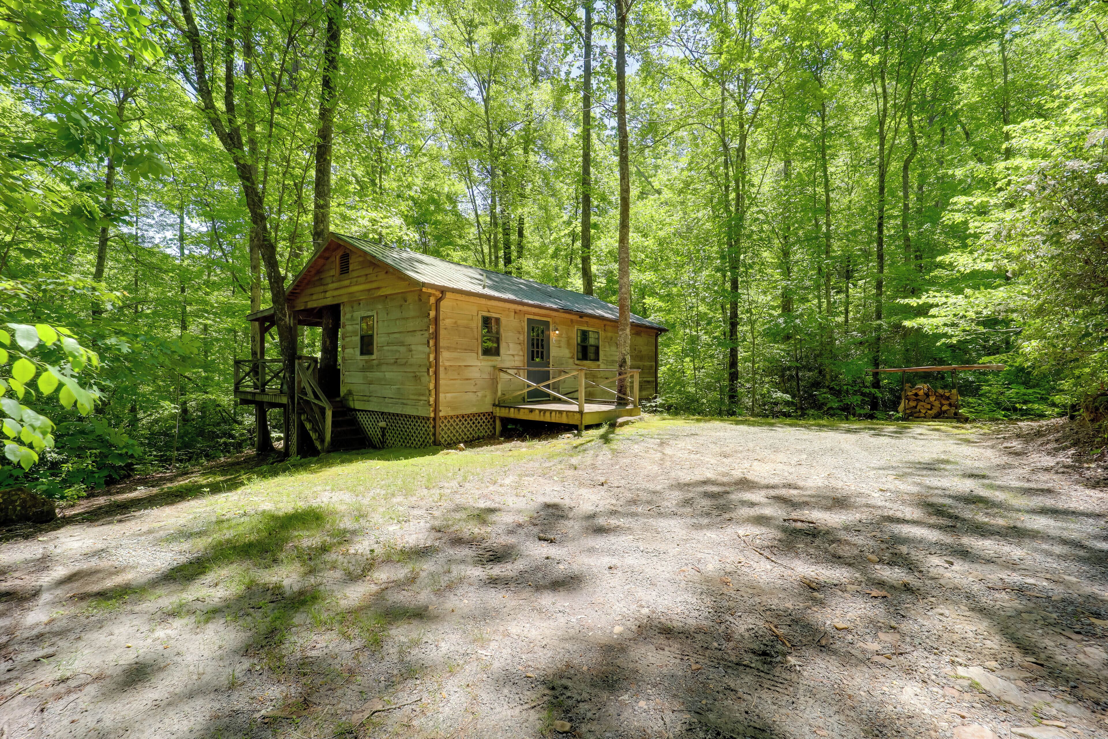 Un chalet rustique doté d’une terrasse en bois, entouré d’une forêt dense.