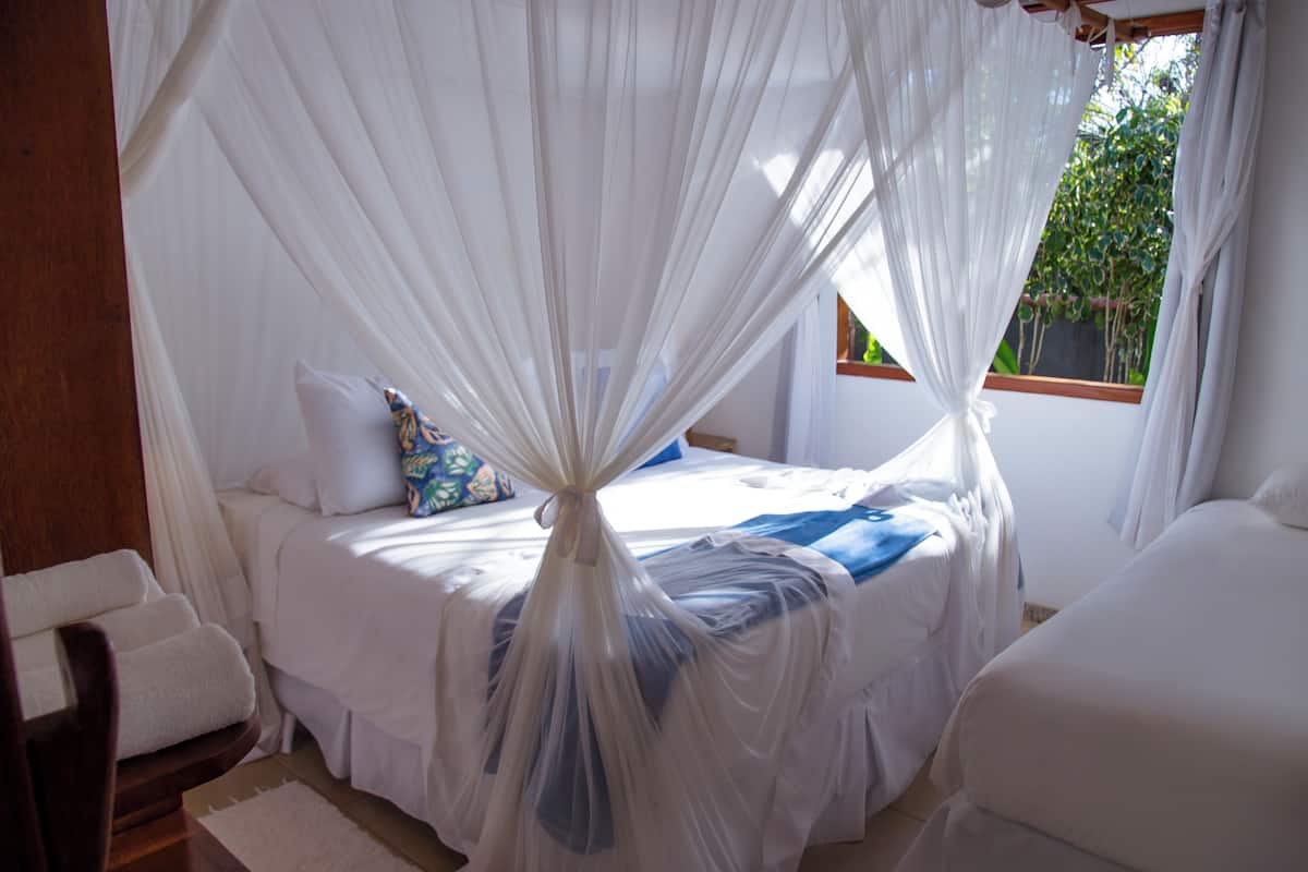 A bedroom with a bed covered by a white canopy, a window with a view of greenery, and a wooden chair.