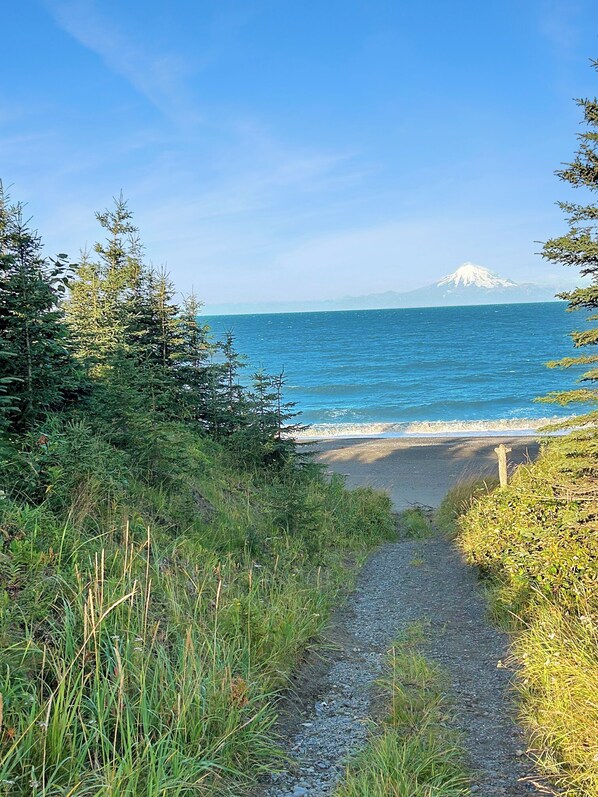 On the beach - Kenai Beachfront Cabin 5 - Rustic Alaskan Cabin (Kenai)