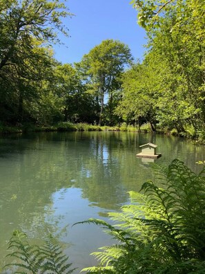 Miscellaneous - Juniper's Stable - rest and relax in style (Camborne)