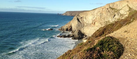 A coastal landscape with cliffs and the ocean.