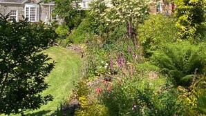 A traditional stone house with a well-maintained garden, surrounded by lush greenery and trees. - Tack Room a luxury Poldark retreat (Camborne)