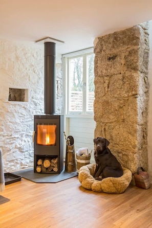 A room with a stone wall, a fireplace with logs, and a dog bed.