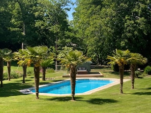 A swimming pool surrounded by palm trees and a small building with a covered seating area.