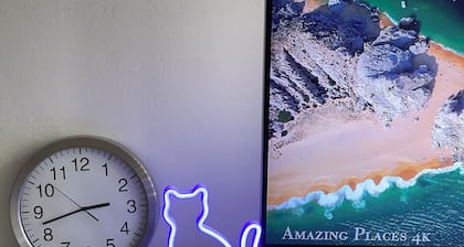 Classic Room , simple Room city centre