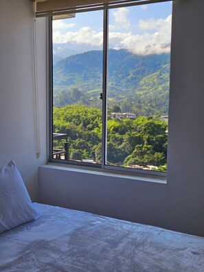 2 bedrooms, iron/ironing board, WiFi, bed sheets - New with a Gorgeous View (Armenia)