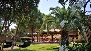 An outdoor patio area with wooden tables and chairs, surrounded by lush greenery and palm trees. - Location Corsica, T2 800 m from Cala Rossa Beach (Lecci)