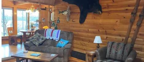 TV, fireplace, books