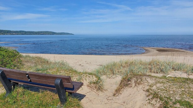 A beach with a bench and a sandy path leading to the water. - Beautiful home in Båstad with sauna (Båstad)