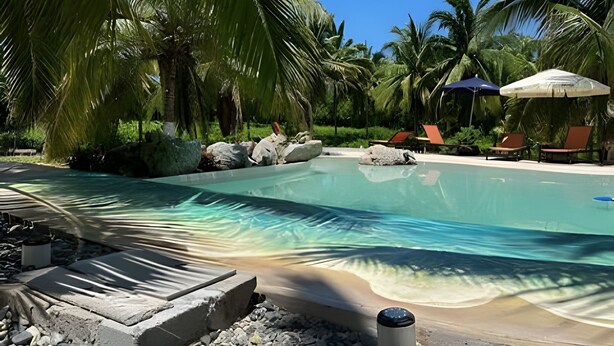 A clear swimming pool surrounded by rocks and palm trees, with lounge chairs and umbrellas in the background.