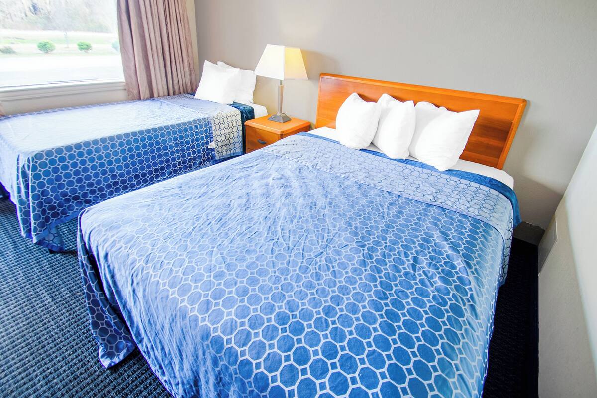 Habitación de hotel con dos camas, cada una con una colcha azul estampada y almohadas blancas. Hay una mesita de noche con una lámpara entre las camas.
