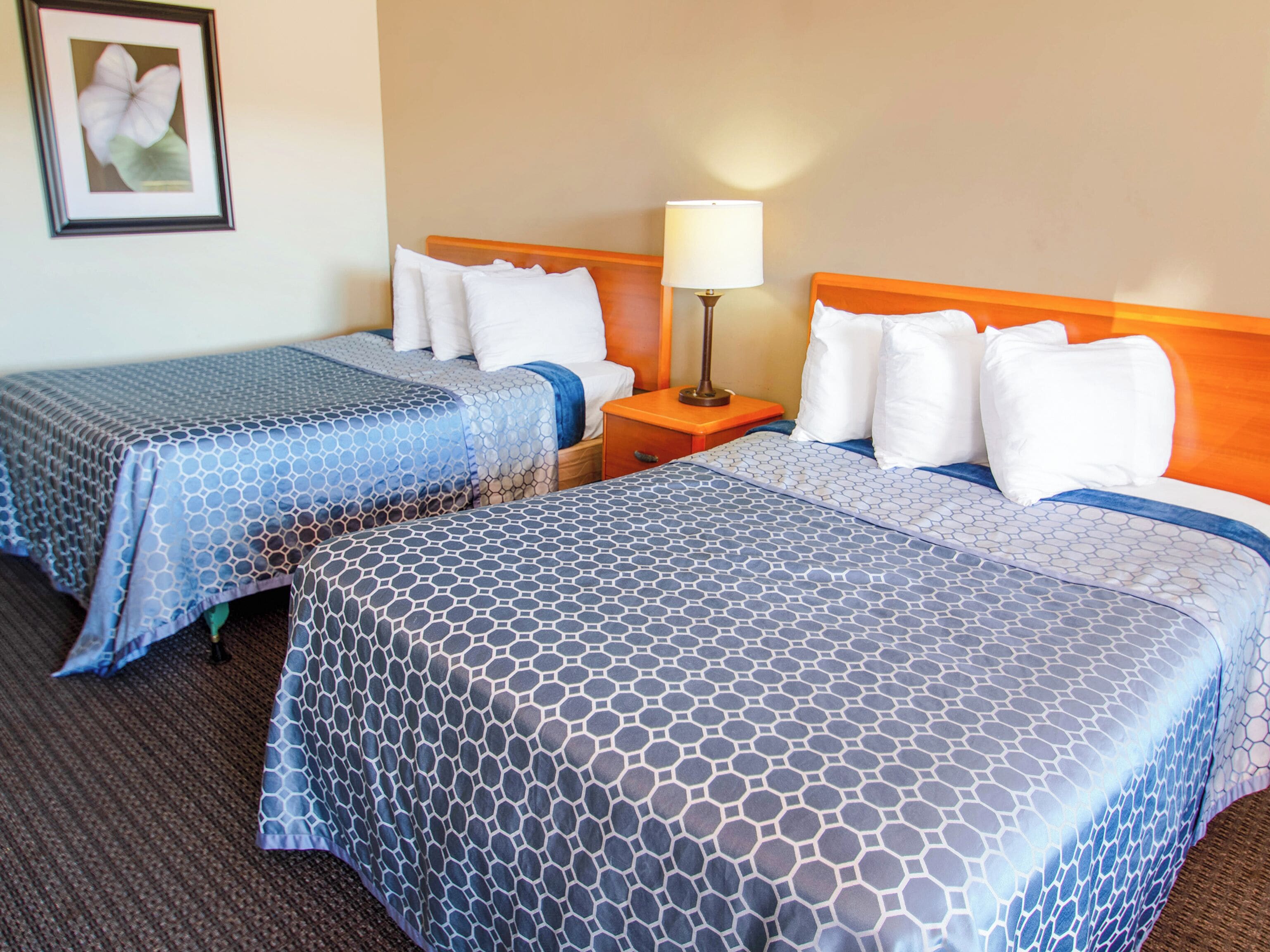 A hotel room with two beds, each with a blue patterned bedspread, a wooden headboard, and white pillows. There is a nightstand with a lamp between the beds.