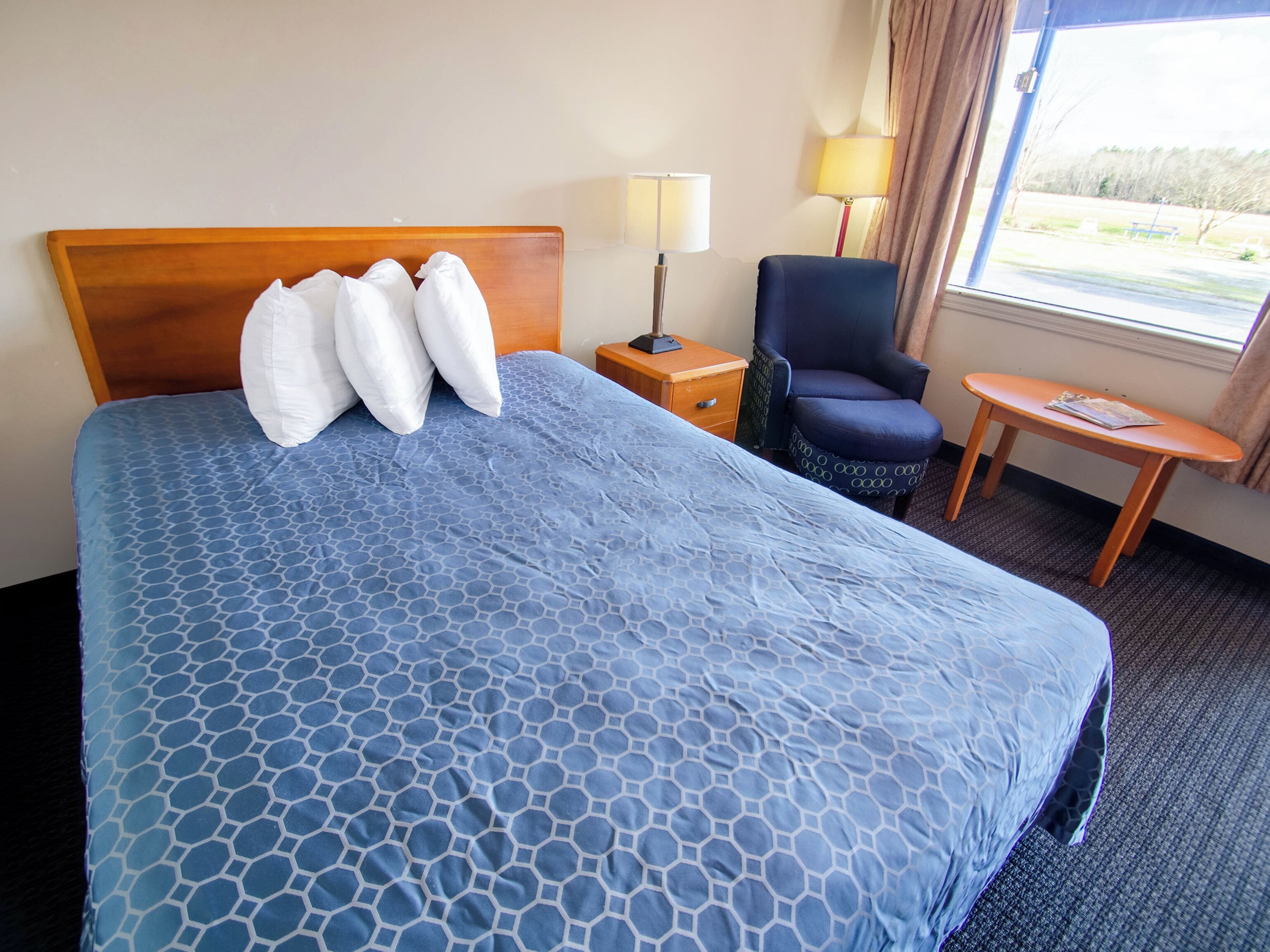 Single Room, 1 Queen Bed