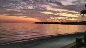 Een zonsondergang aan de kust met een strand en een palmboom.