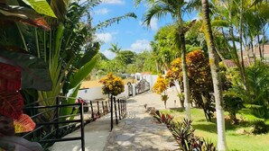 Un sendero que atraviesa un jardín tropical con palmeras y diversas plantas.