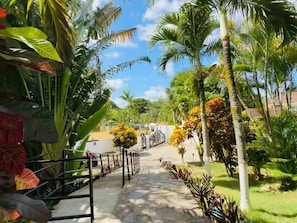 Área da propriedade