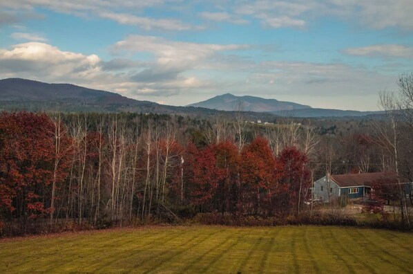 A rural landscape with a house surrounded by trees and fields.