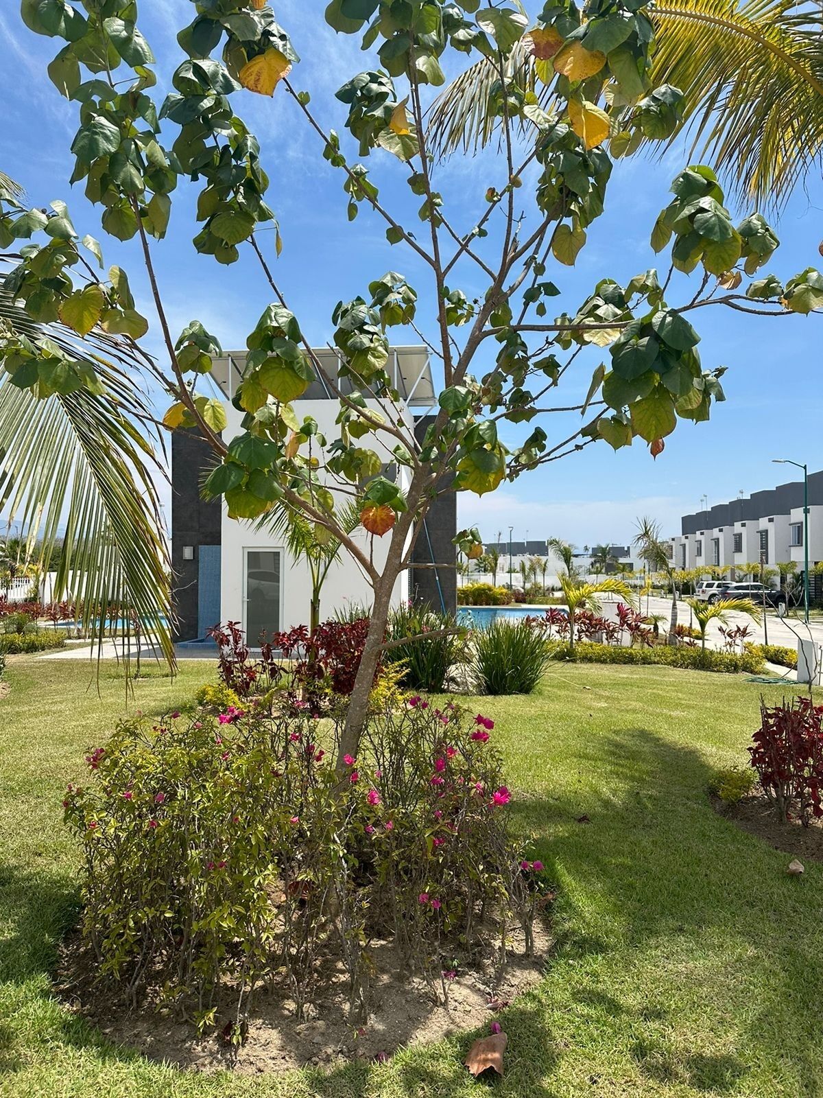 8 albercas al aire libre 