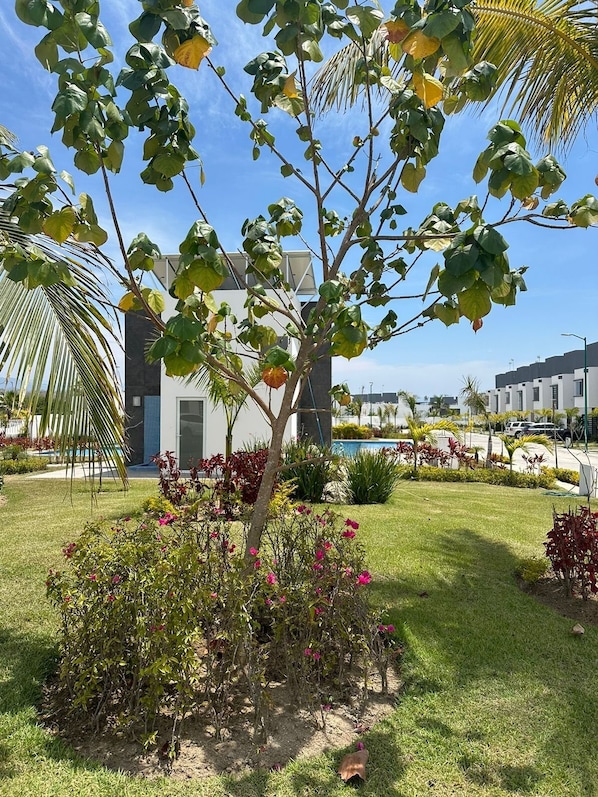 8 piscines extérieures