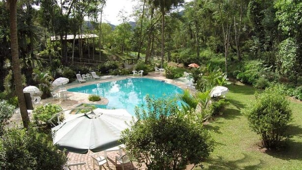 Una piscina circolare con lettini e ombrelloni, immersa nel verde e alberi.