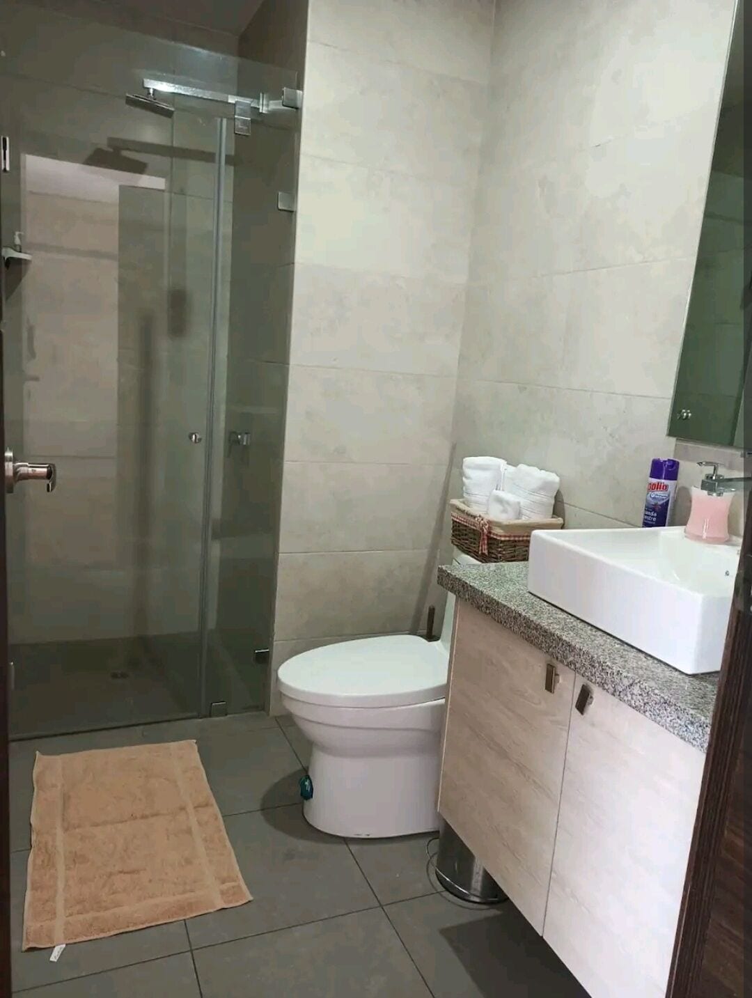 Douche, sèche-cheveux, serviettes fournies, savon