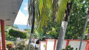Ein überdachter Außenbereich mit einem Pfad, der mit weißen Kieselsteinen belegt ist, umgeben von Topfpflanzen und Palmen.