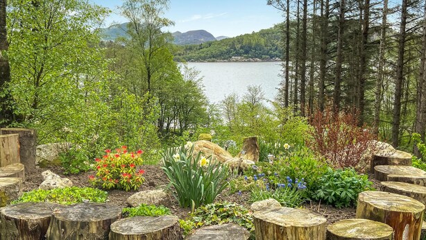 A garden with various plants and trees, a wooden fence, and a lake in the background. - 3 bedroom lovely home in Sandnes (Sandnes)