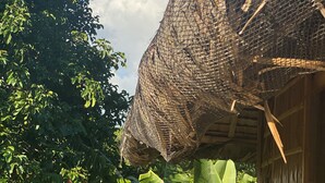 A rustic hut with a thatched roof, surrounded by lush banana plants and dense foliage. - Rustique Rue (Mabini)