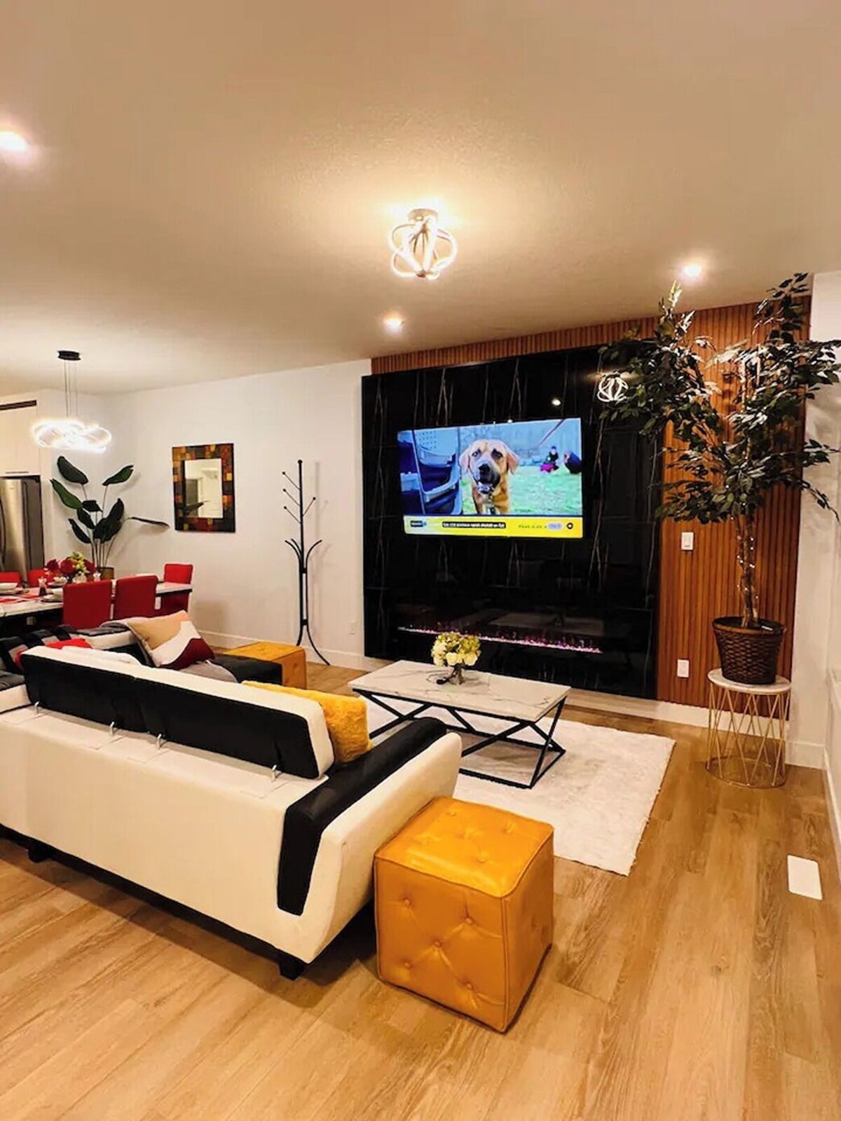 Image de profil de l’hôte